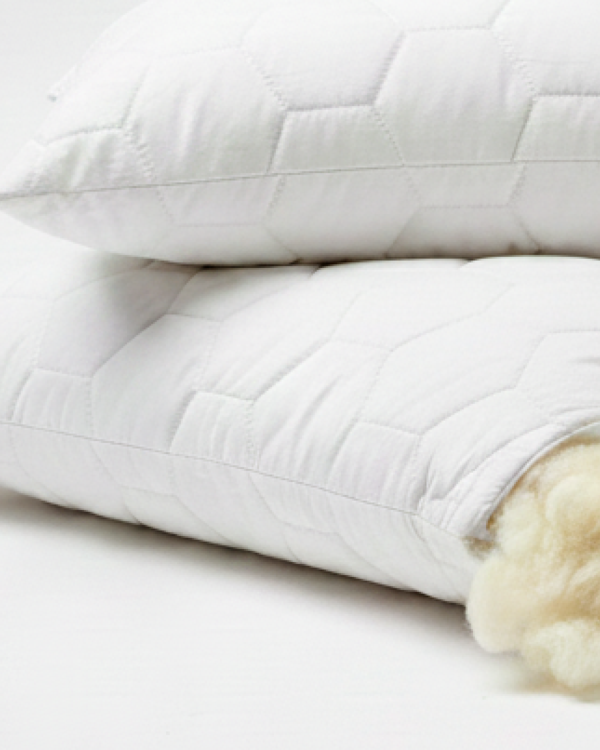 Pack of 2 Classic Merino Wool Pillow 45 x 75 cm + Removable Cotton Zipped Cover 19" x 29" Hypoallergenic